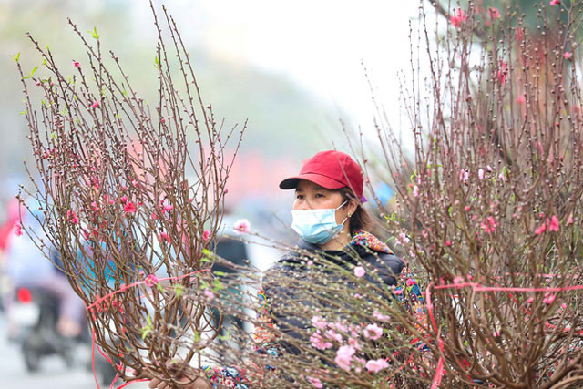 Thời tiết dịp Tết Nguyên đán Nhâm dần 2022 như thế nào?