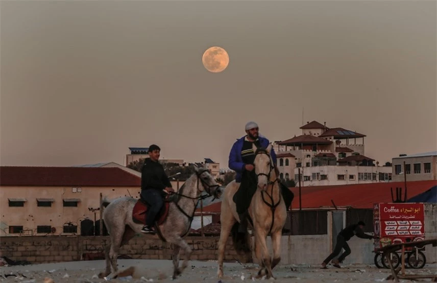 Người d&acirc;n Palestine cưỡi ngựa dọc b&atilde;i biển Gaza khi Trăng Rằm mọc. Ảnh: Sameh Rahmi / NurPhoto / Rex / Shutterstock.