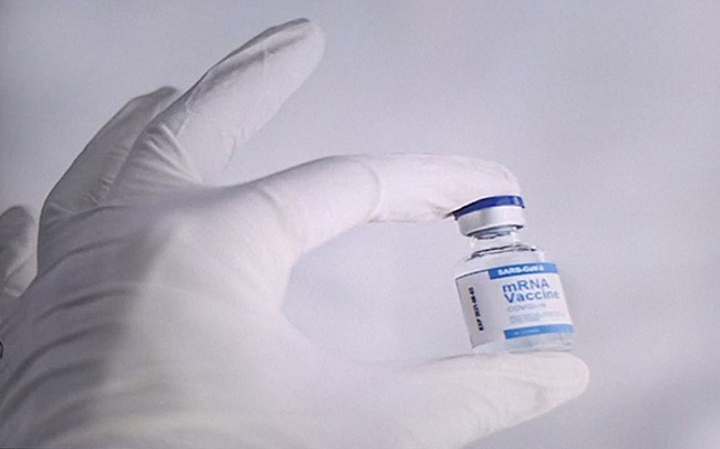 CDC Mỹ: Liều vaccine thứ ba mRNA là chìa khóa chống Omicron