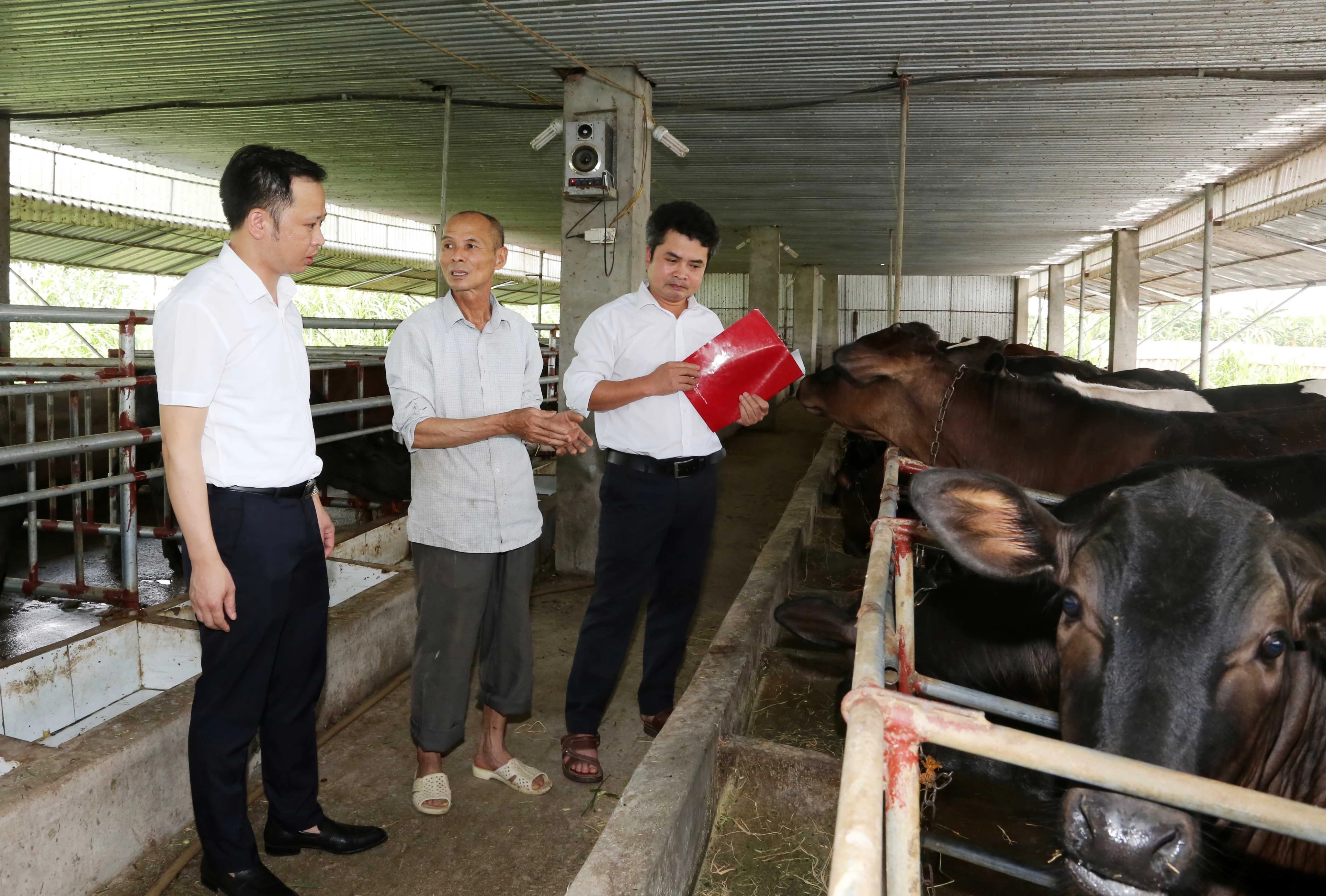 Agribank luôn nỗ lực mang đến nhiều giải pháp tài chính cho khách hàng tại địa bàn nông thôn.