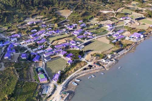 Check-in “quần đảo tím” thơ mộng, độc nhất vô nhị ở Hàn Quốc