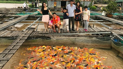 Người bảo tồn nhiều loài cá quý hiếm trên sông Hậu	