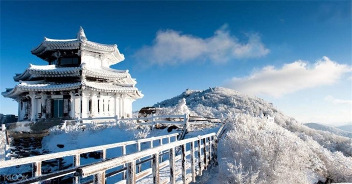 Cảnh thần tiên 'đẹp không lối thoát' trên đỉnh ngọn núi thu hút bậc nhất xứ Hàn - 10