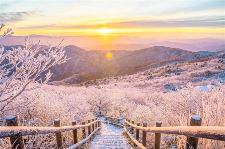 Cảnh thần tiên 'đẹp không lối thoát' trên đỉnh ngọn núi thu hút bậc nhất xứ Hàn - 7