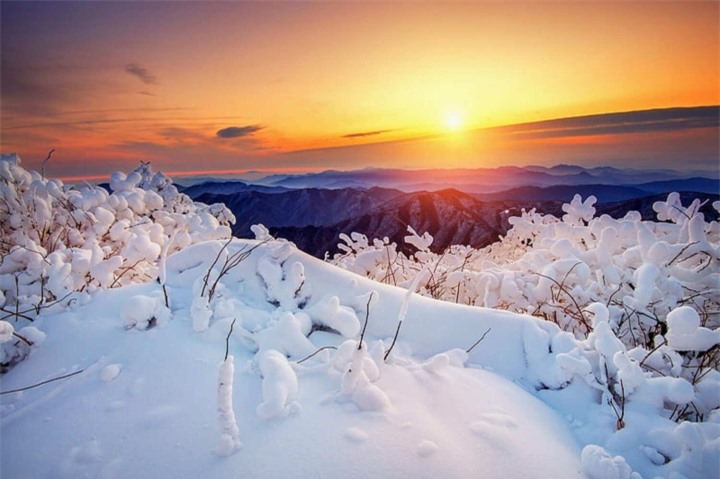 Cảnh thần tiên 'đẹp không lối thoát' trên đỉnh ngọn núi thu hút bậc nhất xứ Hàn - 8
