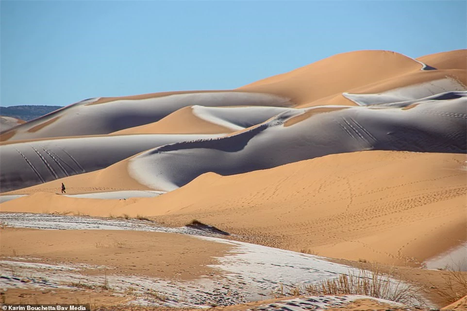 Cảnh tượng cực hiếm: Băng tuyết phủ trắng sa mạc Sahara - Ảnh 2.