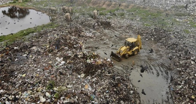 Đau lòng hình ảnh đàn voi 'chết dần chết mòn' vì phải ăn rác thải nhựa ở bãi rác ảnh 3
