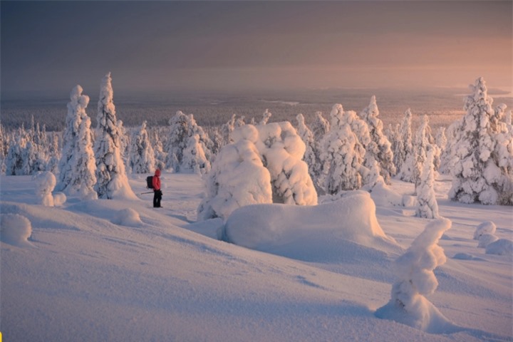 Khu rừng tuyết đẹp đến mê hồn ngỡ như lạc vào thế giới của Nữ hoàng băng giá - 8