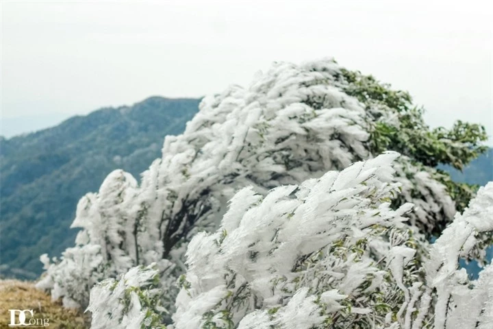 Mê mẩn ngắm băng tuyết đẹp như tranh vào mùa Đông ngay tại Việt Nam - 10