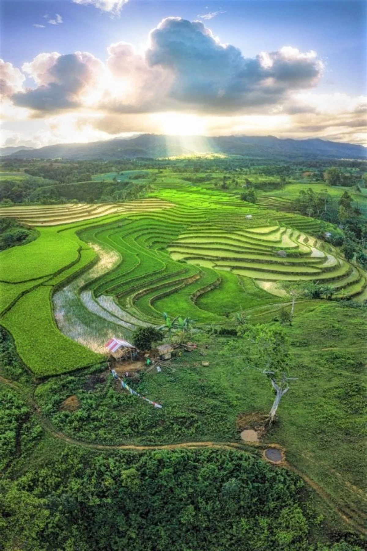 Ruộng bậc thang. Nguồn: fstoppers.com