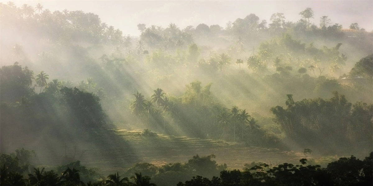 Buổi sáng huyền ảo. Nguồn: fstoppers.com