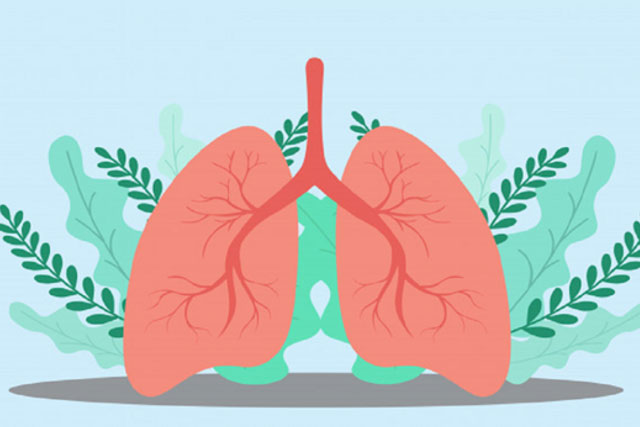 Loại rau được mệnh danh là thần dược bổ phổi tự nhiên: Ăn nhiều năm sẽ tống được chất độc ra ngoài, đặc biệt tốt cho phổi bị tổn thương do hút thuốc!