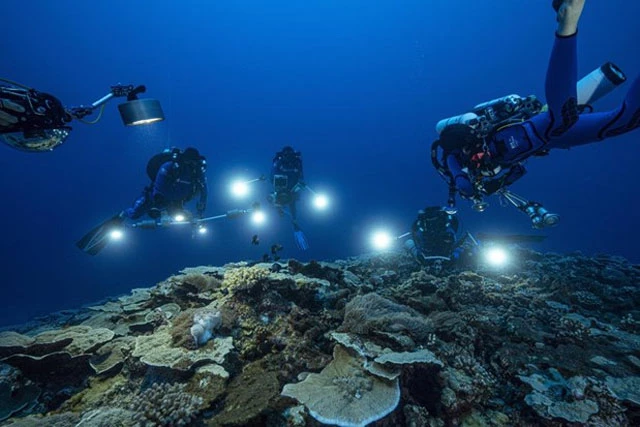 Các nhà khoa học nghiên cứu rạn san hô ở ngoài khơi đảo Tahiti, phía Nam Thái BìnhDương. Ảnh: nieuwsblad.be