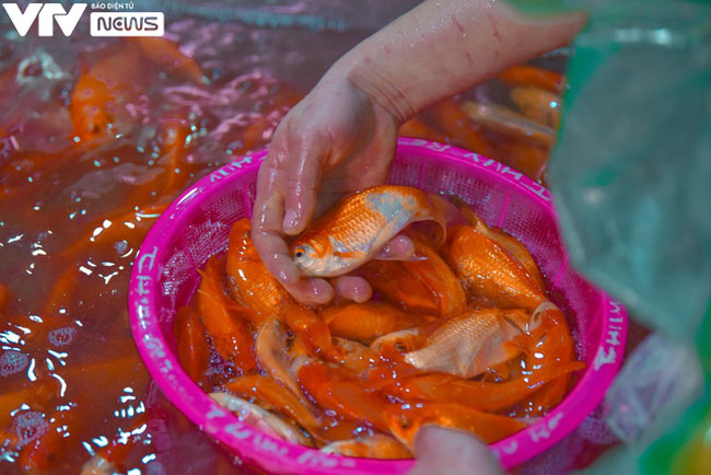 Nhộn nhịp khu chợ buôn bán “phương tiện” cho các Táo ngày về chầu Trời