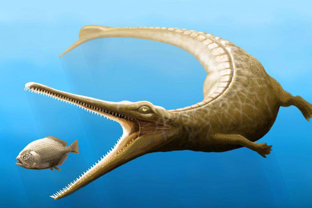 Mô phỏng loài cá sấu cổ đại vừa được tìm thấy.