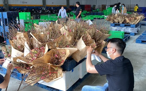 Sôi động chợ Tết trên các sàn thương mại điện tử 