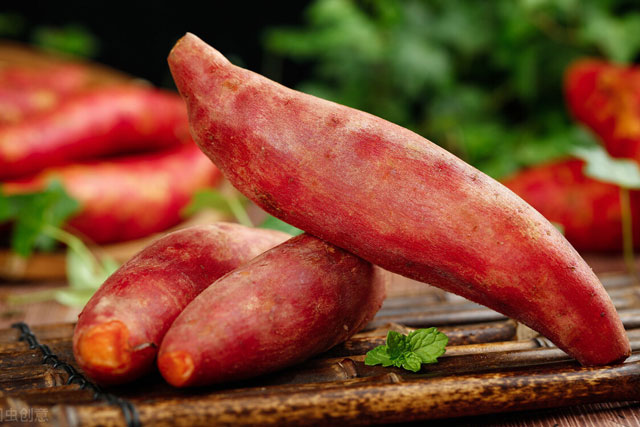 3 loại củ ở Việt Nam mọc đầy vườn, ở Nhật lại được tôn là "món ăn trường sinh": Vừa giảm đường huyết lại chống được ung thư