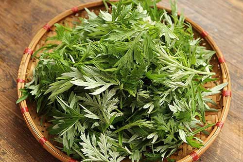 Loại rau cực tốt cho xương khớp, chữa đau đầu mùa lạnh: Giá rẻ, chợ nào cũng có, chuyên gia chỉ cách dùng