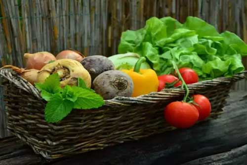 Nh&#x1EEF;ng th&#x1EF1;c ph&#x1EA9;m gi&#xFA;p t&#x103;ng c&#x1B0;&#x1EDD;ng l&#x1B0;&#x1EE3;ng s&#x1EAF;t trong c&#x1A1; th&#x1EC3;