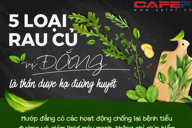 5 loại đắng là “thần dược” giảm đường huyết, kiểm soát tiểu đường đáng kể: Loại đầu tiên rẻ bèo và bán đầy chợ
