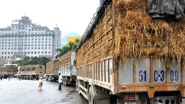 Xuất khẩu nông sản sang Trung Quốc 2022: Cần thích ứng và vượt rào cản mới