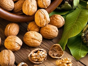 Lợi ích sức khoẻ tuyệt vời của vitamin F