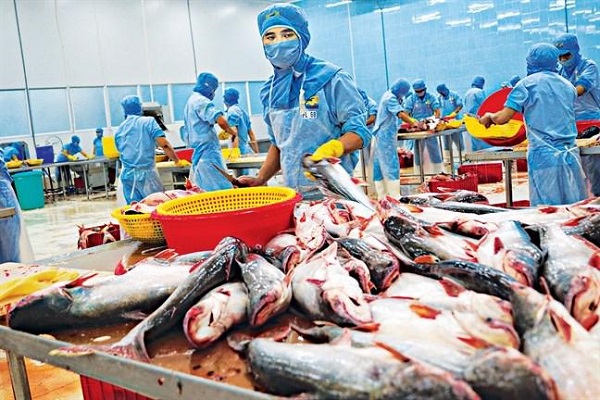 Phê duyệt Chiến lược phát triển nông nghiệp và nông thôn bền vững giai đoạn 2021 – 2030, tầm nhìn 2050