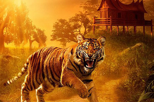 Cổ nhân dạy: 3 thứ là 'tam chủng họa' không nên treo trong nhà, tưởng oai phong nhưng đầy sát khí