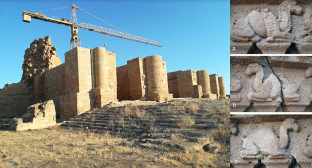 Sinh vật lai mang "quyền năng" bí ẩn ở đền cổ 2.000 năm