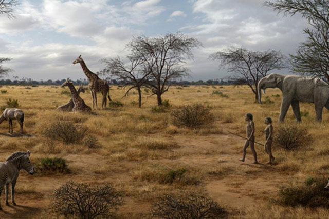 Hai triệu năm trước, một món ăn biến vượn nhân hình thành người?