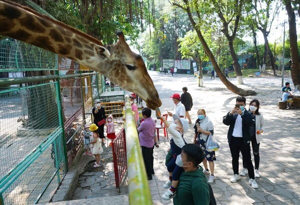 Công viên văn hoá Đầm Sen nhộn nhịp dịp Tết Nguyên đán