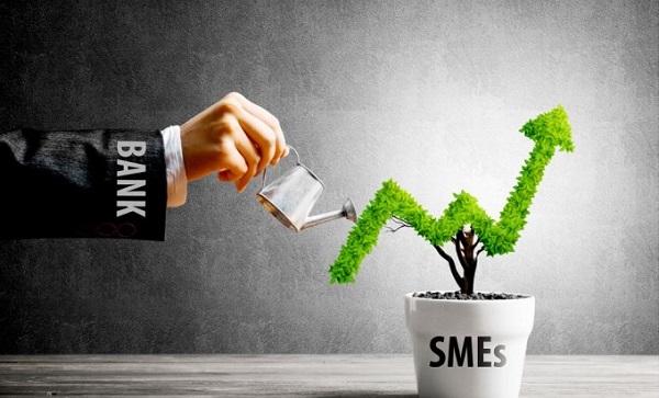 Doanh nghiệp siêu nhỏ cần chính sách cho vay riêng 