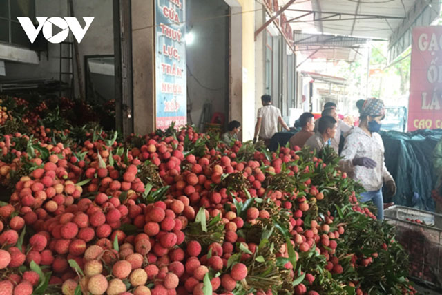 Xuất khẩu vào EU tiếp tục phát huy lợi thế trong năm 2022