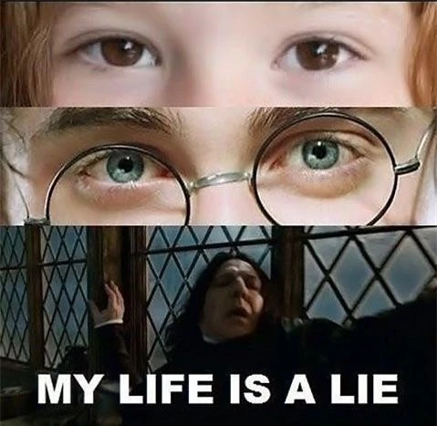 6 chi tiết ở Harry Potter vô lý đến khó đỡ, tác giả cũng làm ngơ: Hermione không thể tẩy não bố mẹ, gia đình Harry vốn có thể được cứu! - Ảnh 4.