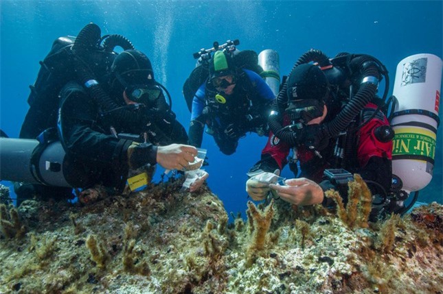 Vén màn bí ẩn máy tính cổ đại Antikythera ảnh 2