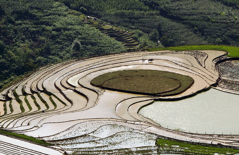 Mê mẩn vẻ đẹp của những ruộng bậc thang mùa nước đổ ở Tây Bắc