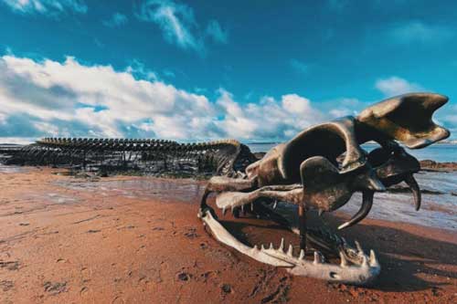 ‘Bộ xương rắn khổng lồ’ trồi lên giữa bờ biển thu hút du khách đến check-in