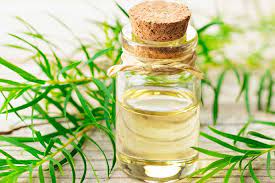 Liệu pháp tự nhiên giúp điều trị cảm cúm