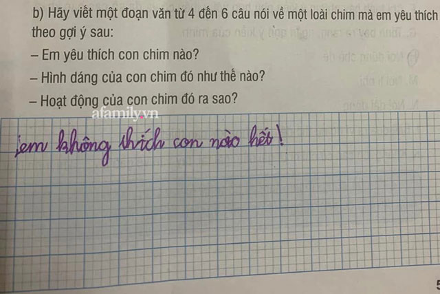 Được hỏi: Em yêu thích con chim nào? Học sinh tiểu học trả lời 6 từ khiến mẹ á khẩu, dân tình cười sái quai hàm