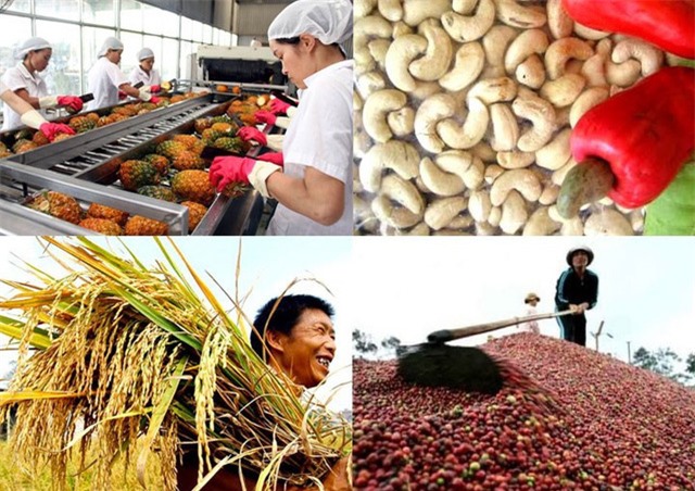 Kết nối doanh nhân kiều bào, đưa nông sản Việt Nam vào chuỗi giá trị toàn cầu - Ảnh 1.