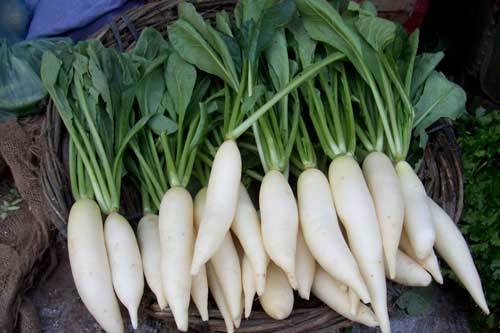 6 loại thực phẩm bổ phổi, dưỡng âm, ngăn ngừa mầm bệnh gây hại cho phổi