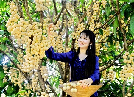 Cần Thơ linh hoạt, thích ứng an toàn để phục hồi và phát triển du lịch 