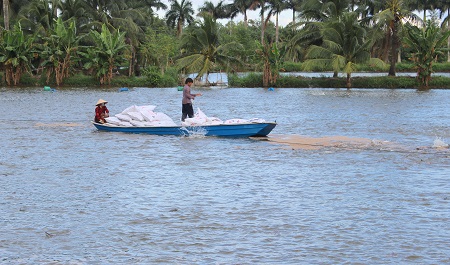 Miền Tây: Giá cá tra tăng mạnh do cung không đủ cầu