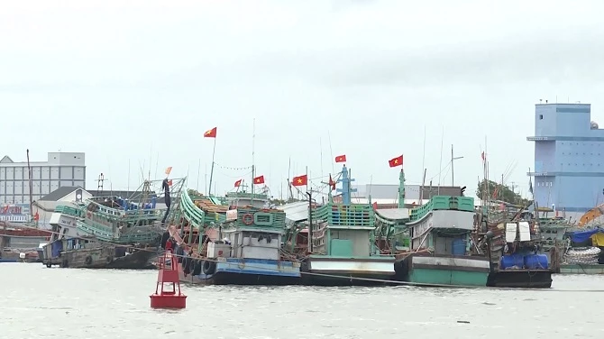 H4: Ngư dân Sông Đốc, tỉnh Cà Mau gặp khó khăn khi giá xăng dầu tăng cao.