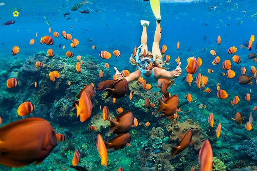 Nhiều doanh nghiệp lữ hành khởi động lại thị trường tour nước ngoài