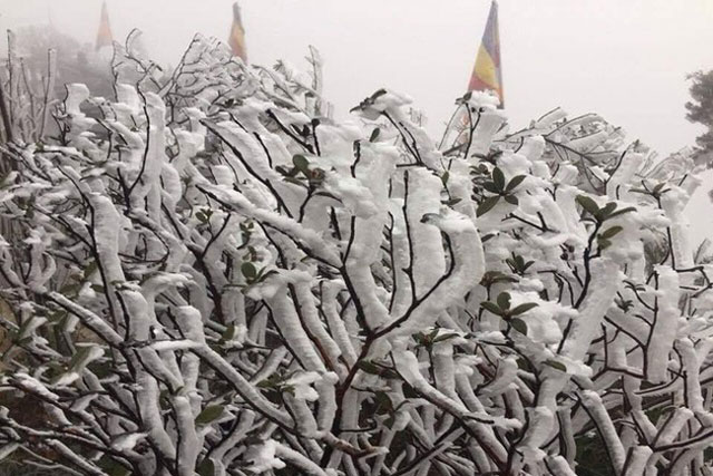 Người dân Sa Pa ứng phó với giá rét, băng tuyết thế nào?