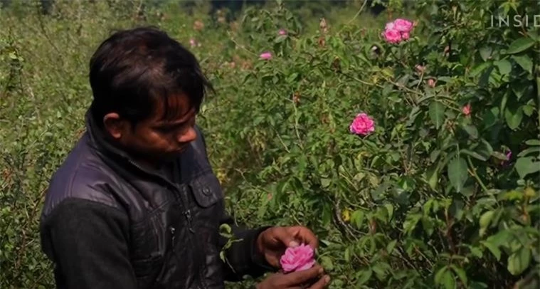Toàn cảnh quy trình sản xuất nước hoa mùi mưa giá đắt cắt cổ tại Ấn Độ - Ảnh 1.