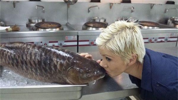 Khám phá loại cá đặc sản quý như vàng