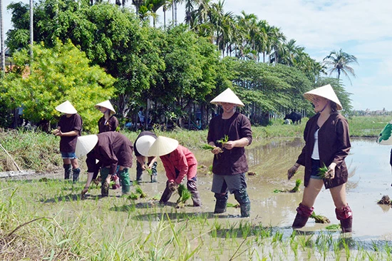 Mục tiêu 2021-2025, có ít nhất 50% điểm DLNT đạt chuẩn OCOP 3 sao trở lên được số hóa và kết nối, quảng bá bằng công nghệ số.