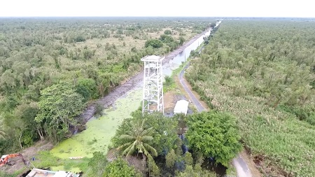 Cà Mau: Sử dụng hệ thống camera cảnh báo cháy rừng tự động